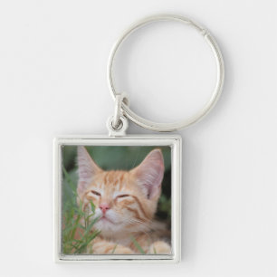 Pet Photo Key-keten Sleutelhanger