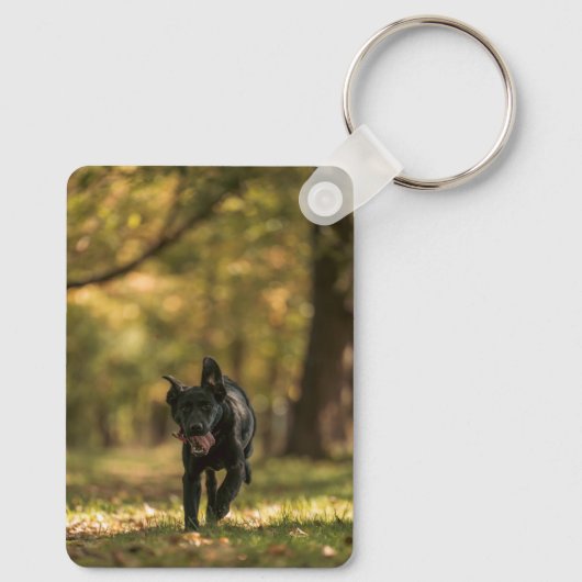 Pet Photo Keychain Custom Two Photo Double Sided (Achterkant)