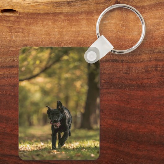 Pet Photo Keychain Custom Two Photo Double Sided (Achterkant)