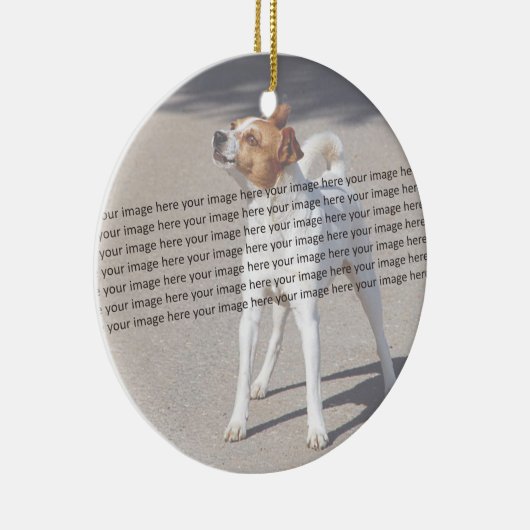 PET Photo ✨ Mooie Custom Keramisch Ornament (Rechts)