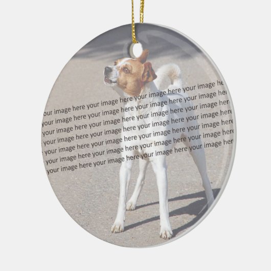 PET Photo ✨ Mooie Custom Keramisch Ornament (Links)