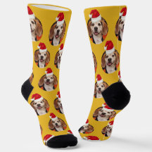 Pet Photo Mosterd Geel Santa Hats Kerstmis