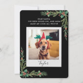 Pet Photo Script Funny Dog Christmas Feestdagenkaart (Voorkant)
