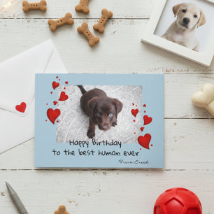 Pet Photo Template Happy Birthday - Kaart aanpasse