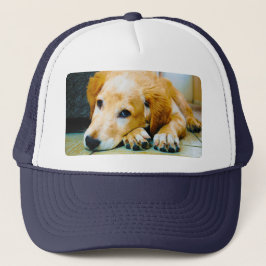 Pet Photo Template Pet