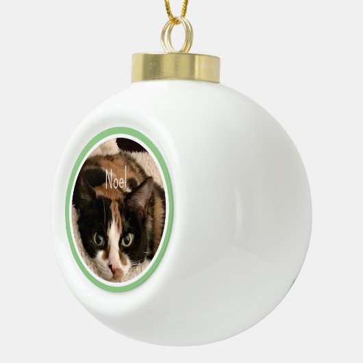 Pet Photo Template Snowflake Framed Ornament (Rechts)