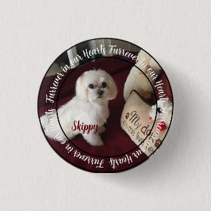 Pet Pin Button