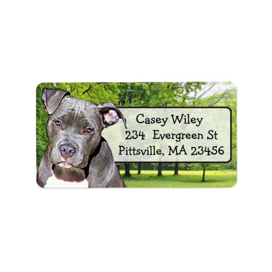 Pet Pitbull Dog-adreslabel Etiket (Voorkant)