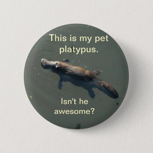 Pet Platypus Button (Voorkant)