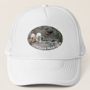 PET POLAR BEER