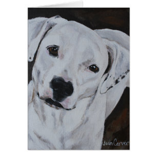 Pet Portrait - American Bulldog