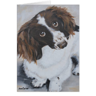 Pet Portrait - Cavalier King Charles Mix
