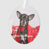 Pet Premier Noël (devant)