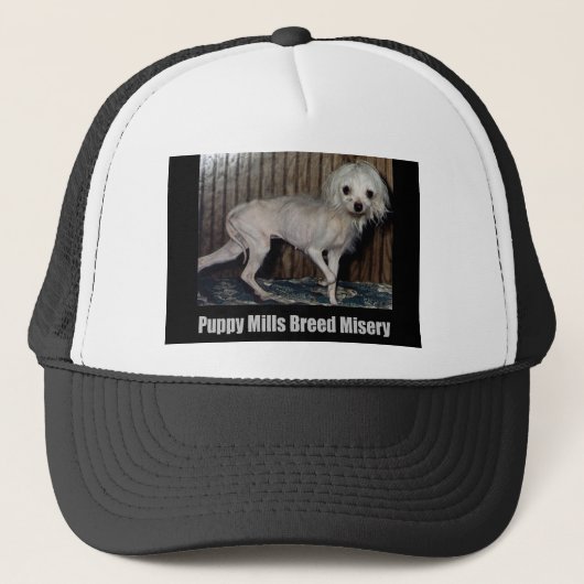 Pet Puppy Mill (Voorkant)