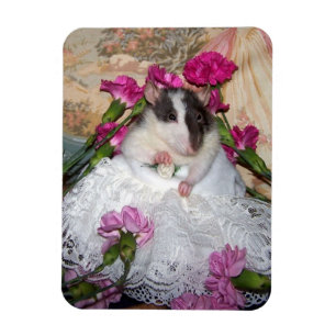Pet Rat Bride Trudy Flexible Magnet Magneet