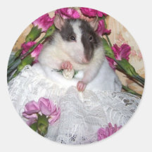Pet Rat Bride Trudy Stickers