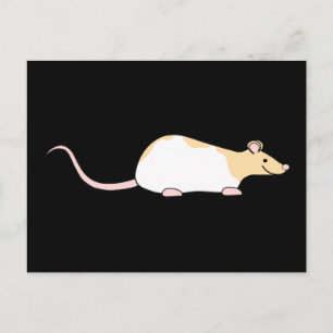 Pet Rat. Fawn and White Hooded Variegated. Briefkaart