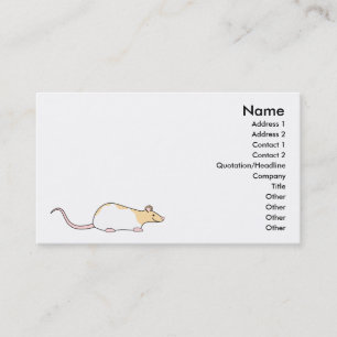 Pet Rat. Fawn and White Hooded Variegated. Visitekaartje