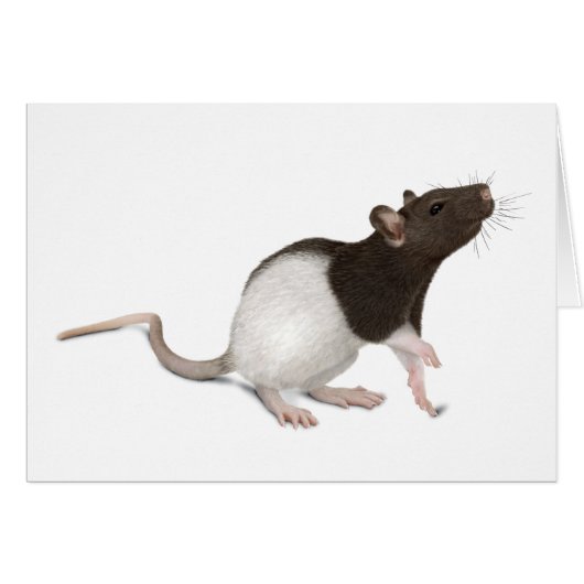 Pet Rat Painting (Voorkant Horizontaal)