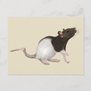 Pet Rat Painting Briefkaart