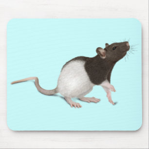 Pet Rat Painting Muismat