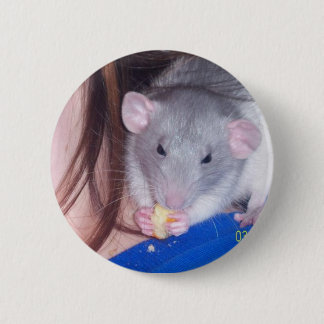 Pet Rat Pinback Button