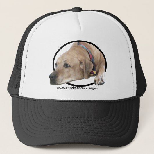 Pet Rhodesian Ridgeback Dog Afbeelding (Voorkant)