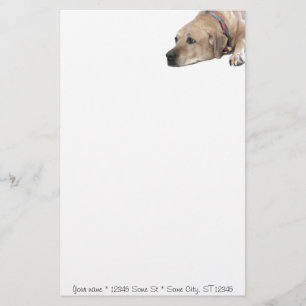 Pet Rhodesian Ridgeback Dog Afbeelding Briefpapier