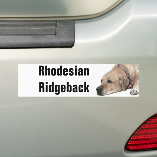 Pet Rhodesian Ridgeback Dog Afbeelding Bumpersticker (Op auto)