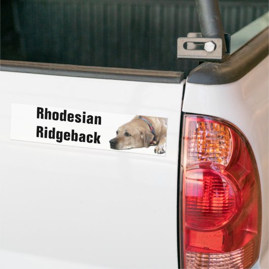 Pet Rhodesian Ridgeback Dog Afbeelding Bumpersticker (Op Truck)
