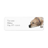 Pet Rhodesian Ridgeback Dog Afbeelding Etiket (Voorkant)