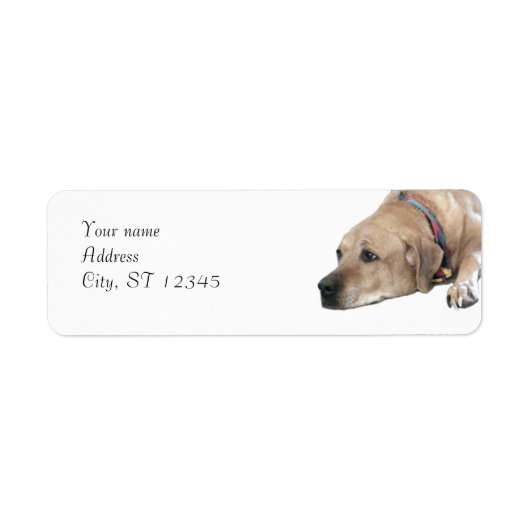 Pet Rhodesian Ridgeback Dog Afbeelding Etiket (Voorkant)