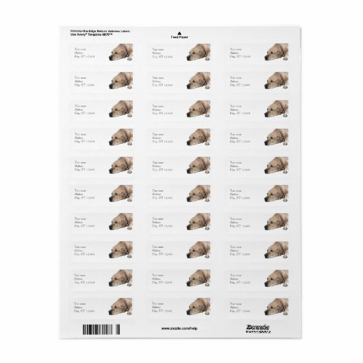 Pet Rhodesian Ridgeback Dog Afbeelding Etiket (Full Sheet)