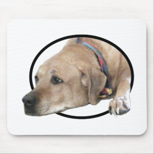 Pet Rhodesian Ridgeback Dog Afbeelding Muismat