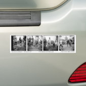 Pet Rock Bumpersticker (Op auto)