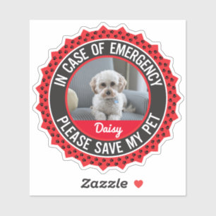 Pet Safety Alert met fotonaam bewerkbare kleuren Sticker