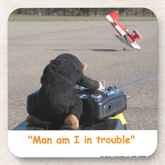 Pet Singe Crashant Dads RC Plane Dessous de verre  (Devant)