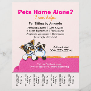 Pet Sitter Ad Yorkie Cat Couch Pink Flyer