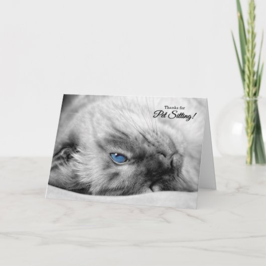 Pet Sitter Dank u Siamese Cat Bedankkaart (Voorkant)
