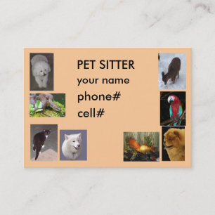 PET SITTER VISITEKAARTJE