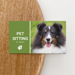 Pet Sitting Dog Service Happy Sheltie Dog Foto Visitekaartje