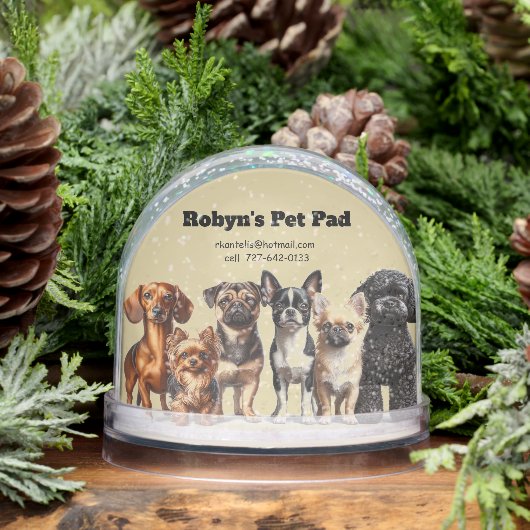 Pet Sitting Snow Globe (Hiver)