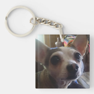 Pet Sleutelhanger