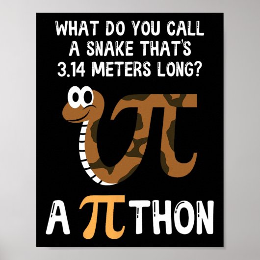 Pet Snake Wiskunde Pi Day Python Poster (Voorkant)