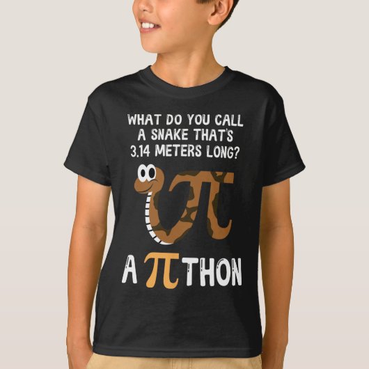 Pet Snake Wiskunde Pi Day Python T-shirt (Voorkant)
