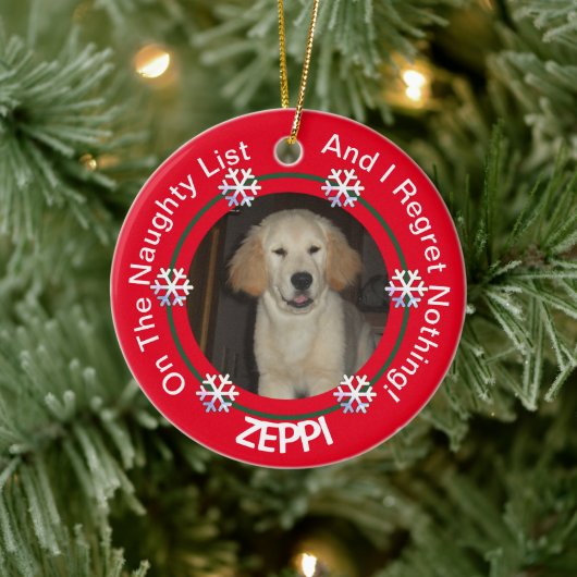 Pet Sneeuwvlok Ondeugend Lijst Kerstmis Keramisch Ornament (Boom)
