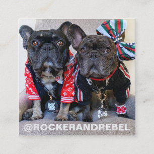 Pet Star Moderne, minimale eenvoudige foto's en Vierkante Visitekaartje