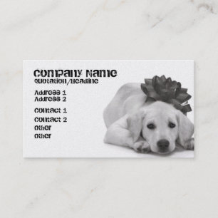 Pet Supply/Groomer/enz. Visitekaartje