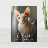 Pet Sympathiakaart Memorial Bedankkaart (Voorkant)