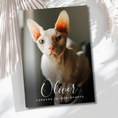 Pet Sympathiakaart Memorial Bedankkaart